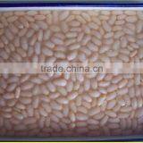 Canned White Kidney Beans in Brine With Best Price thumbnail-1