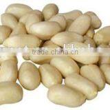 China Blanched Peanut Kernels in Long Shape Best Price