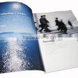 Custom Company Brochure