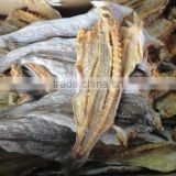 dried mackerel fish