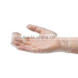Powdered and Powder Free Disposable Vinyl Gloves Hospital/factory/home Using thumbnail-4