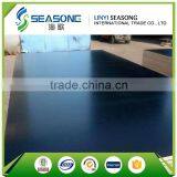 Discount Film Faced Plywood for Construction thumbnail-6