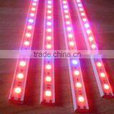 DC 12V 5050 SMD Rigid RGB Led Strip Light for Christmas Ornament With CE RoHs thumbnail-2