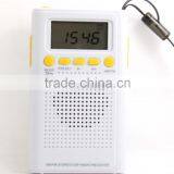 New and Hot Sell With LCD Display am fm Radio thumbnail-2