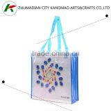 PP Lamination Bag thumbnail-1