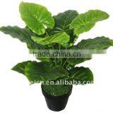 Artificial/fake Plant