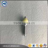 Customized Archimedes Transmission Worm for Auto Motor Small Order Accept