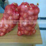 Gold Onion ( Crops 2013) thumbnail-2