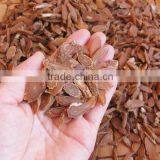 Chinese Best Health Food Dried Red Ginseng Slice thumbnail-5