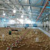 Broiler Chicken Nipple Drinker thumbnail-2