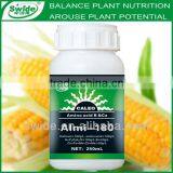 Amino Acid Boron Calcium Liquid Fertilizer