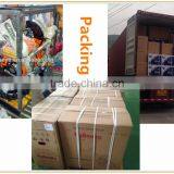 Newest 9HP Honda Mini Tiller Price Kubota Rotary Tiller thumbnail-5