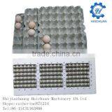 Apple Fruit Egg Tray Molds thumbnail-1