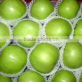PE Foam Net Extrusion Line(FS-75) thumbnail-2