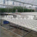 High-tech Greenhouses and Hydroponic Systems thumbnail-1
