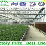 Polycarbonate Greenhouse Siding thumbnail-4