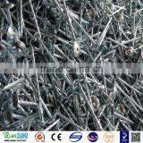 Factory! High Quality Loose Nails, Umbrella Head Roofing Nails thumbnail-6