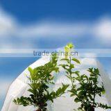 Garden Ground pp Spunbond Nonwoven Fabric thumbnail-1