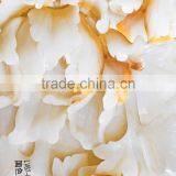 New Design All Pattern Shower Door Film High Quality Wall Pvc Decorative Film thumbnail-4