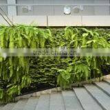 2017 Factory Price New Designed High Quality Artificial Plant Wall/plants for Sale thumbnail-1