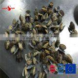 2015 New Cooked V-packed Baby Clam thumbnail-2