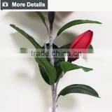 Hotsale and Cheap Artificial Magnolia Flowers for Decoration thumbnail-3