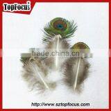 Hot Sale Designer Indian Cheap Natural Artificial Peacock Feathers thumbnail-3
