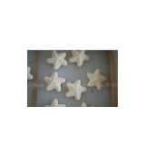 Starfish Shape Energetic Natural Bath Fizzer Body Care with Peppermint