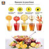 Small Commercial Juicer Press Machine Grape Squeezing Machine Price thumbnail-6