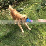 Pet Toy Interactive Spiked Elastic Drawstring Ball Molar Dog Toys Tpr thumbnail-3