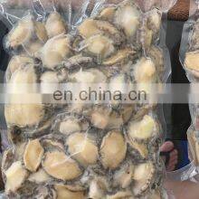 IQF Frozen Abalone in Shell for Sale thumbnail-4