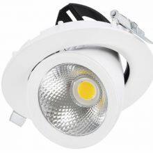 Adjustable LED Downlight 405nm Light