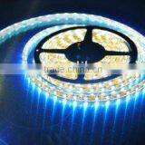 PE Cannula /Waterproof 300pcs 5050 SMD Flexible LED Strip thumbnail-1