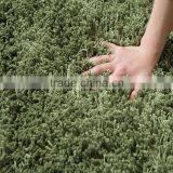 Home Interior Design Complete Carpet and Flooring thumbnail-2