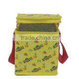 Colorful Good Quality Insulated Bag Portable Cooler Bag Ice Bag thumbnail-2