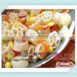 Automatic Vermicelli Pasta Macaroni Making Machine thumbnail-5