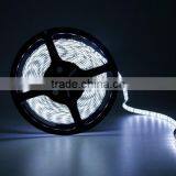 Competitive Price 12v 24v 3014 Flexible Led Strip Lights