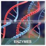 Bakery Enzymes,additives thumbnail-1