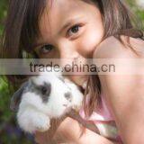 260g RC High Glossy Photo Paper, Inkjet Photo Paper