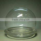 Glass Dome Terrarium