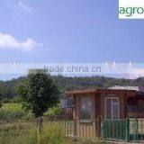 100% Natural Dried Rosemary Leaf thumbnail-5