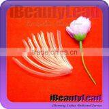 Long Nail Tips Clear Nail Tips Acrylic Nail Tips