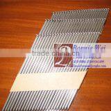 Galvanized Collated Strip Nails for Aurtralian Market thumbnail-1