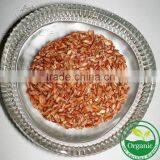 Organic Traditional Rice - Kuruluthuda thumbnail-1