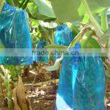 Banana Growing Plastic Bag thumbnail-5