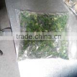 Frozen IQF Scallion Pieces thumbnail-3