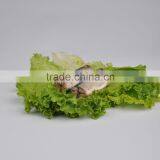 Certificated Canned Mackerel in Brine thumbnail-1