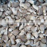 Highquality Frozen IQF Champignon thumbnail-3