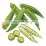Frozen Okra thumbnail-3