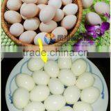 Industrial Automatic Hard Boiled Egg Peeling Machine thumbnail-6